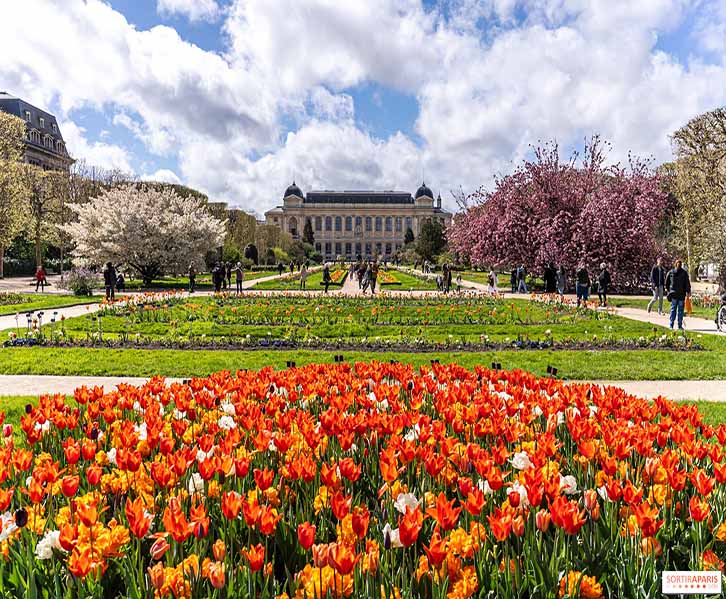 Unveiling Rouen’s Secret Gardens: The Green Spaces You Can’t Miss